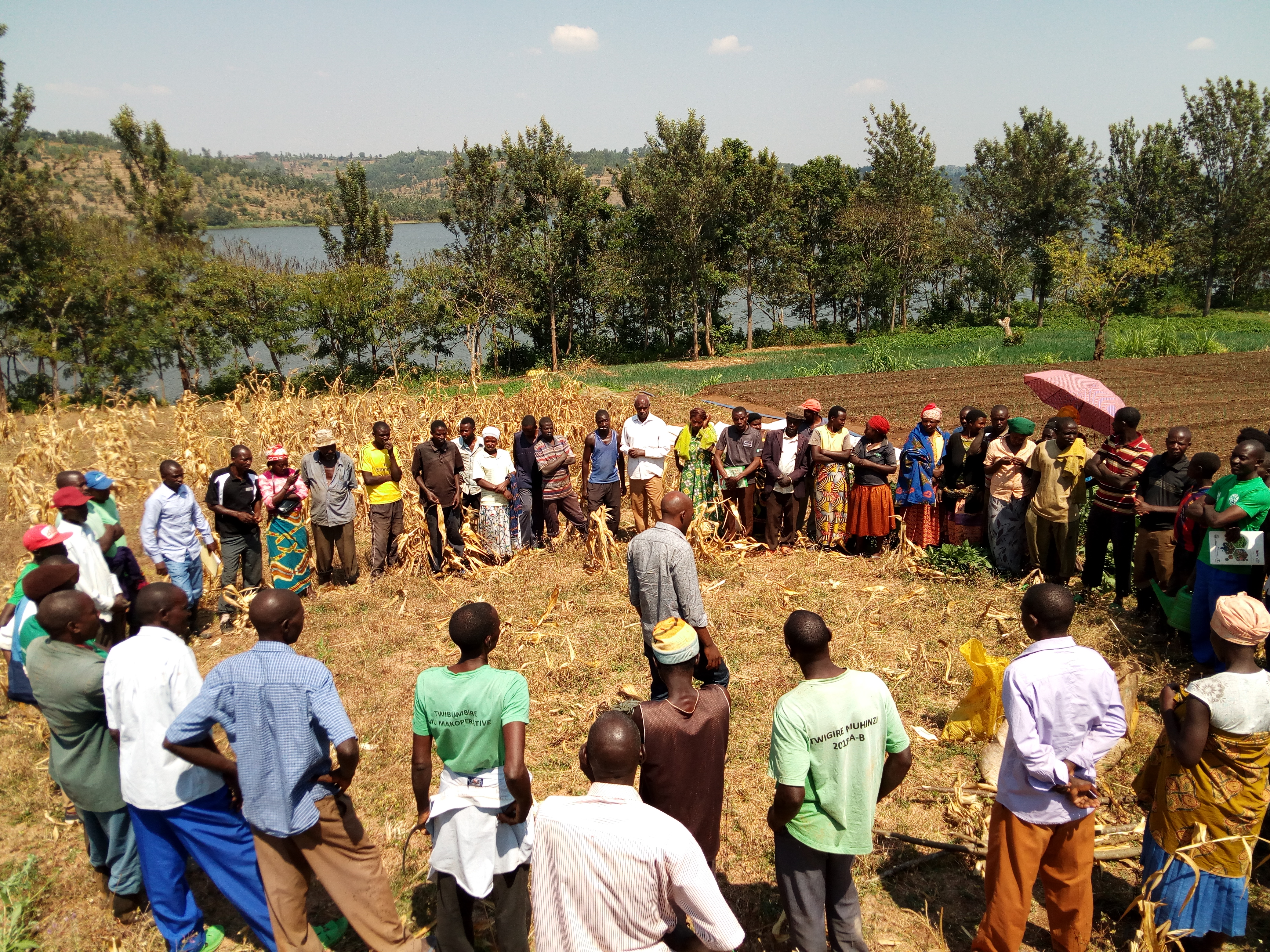 Green Rwanda Initiative Who we are – Green Cover Initiative Rwanda